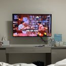 꼬꼬무PC 이미지