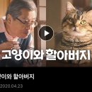 훤칠한고양이 이미지