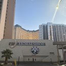 인앤아웃호텔 이미지