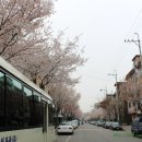 화정천동로2 이미지