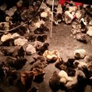 구례청계 이미지