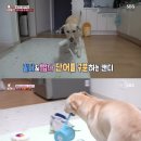 후천농장 뉴스엔