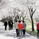 안성 조령천 이미지