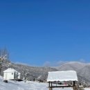 태백운수 이미지