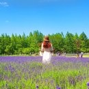 영농조합법인정원농장 이미지