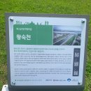 왕숙천둔치공원(토평교) 이미지