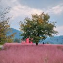 김유정 동상 | 김유정레일바이크 당일치기 소요시간 핑크뮬리 예약