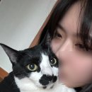 고카인 이미지