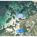 코난민박 이미지