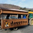 옛책고을박물관 Daum카페
