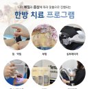 평촌교통 이미지