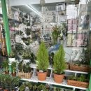 신성림약국 이미지