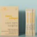 다모아코리아
