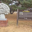 솔밭공원 이미지