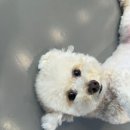 사랑가득한유치원 이미지