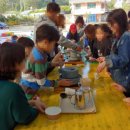 국화리팜랜드 이미지