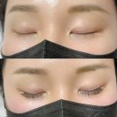 서울대입구속눈썹 블랙여우 벨벳포인트래쉬 C컬 11mm