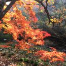 비산고가 아래 이미지