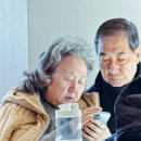 금왕 비상일체 1호 | 한덕수, 징역 23년 - 돈까스 매니아