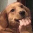 유피시리즈 이미지