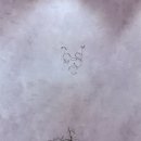 비슬로 | 순천 호수공원 미용실, 비슬로헤어 솔직후기