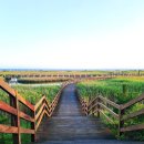 올챙이의 꿈 | 🌅 부산 여름밤 아이와 가기 좋은 곳: 다대포 고우니생태길 노을 &amp; 꿈의 낙조분수 솔직 후기