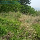 월영동147 이미지