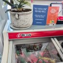 중앙탑 | [충주/중앙탑] '남한강막국수' 들기름 막국수 추천, 중앙탑 맛집 후기