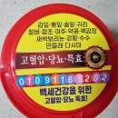 약초상회