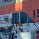 오색운동화세탁 이미지