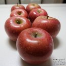 청담 관광농원 이미지