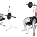 트라이던 피트니스(TRYDONE FITNESS) 이미지