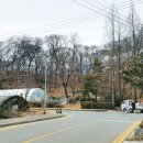 반값복사 이미지