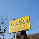 형농원 | 광교산 맛집 현지인 단골이 추천하는 광교헌농원 찐후기, 주차, 꿀팁