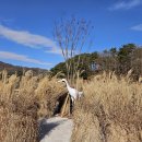 경기둘레길 포천15코스 이미지