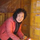 맹순이농장 이미지