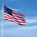 유기코리아 이미지