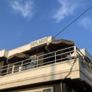 뚱슈헤나 이미지