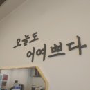 카페 인 타코야키 이미지