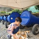 건영승마장 이미지