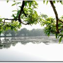 반곡저수지 이미지