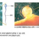 임신 주수 계산하기 이미지