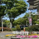 럭키(아) | K리그 FC서울 N석 직관하기 어린이날 축구관람 후기 피카츄키링 팬카드 럭키드로우 이벤트