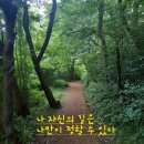 제주인하우스펜션 | 제주도한달살기숙소 나에게 맞는 숙소찾기 제주도유펜션 추천 리스트