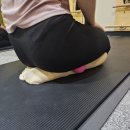 몸다운필라테스 - 서초구 동산로13길 35 | 제이필라테스 물금필라테스 후기, 몸이 하나씩 풀리는 게 느껴졌어요
