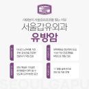 서울갑유외과의원 네이버블로그