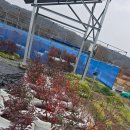 행복드림농장 이미지