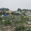 이준구농장 이미지