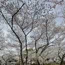 세븐일레븐신산파크점