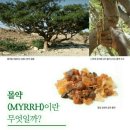 이룬다대리점